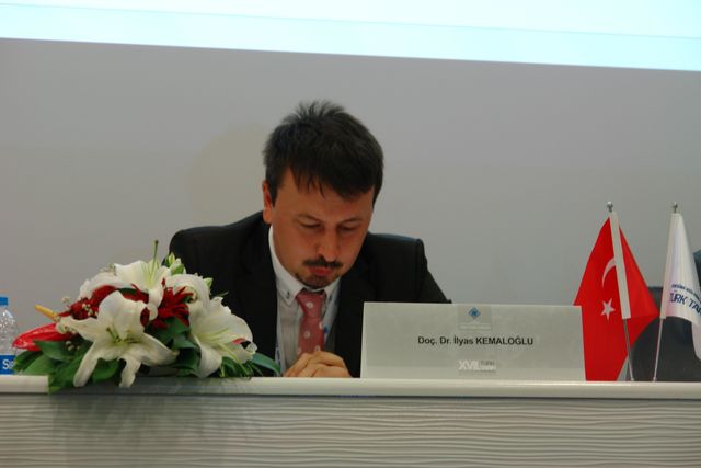 XVII. Türk Tarih Kurumu Kongresi, Ankara 15-17 Eylül 2014